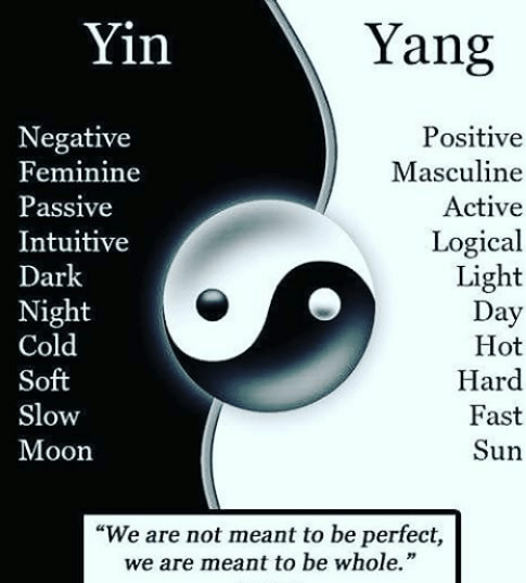 yin-yang-positive-negative-masculine-feminine-passive-active-logical-intuitive-20322306