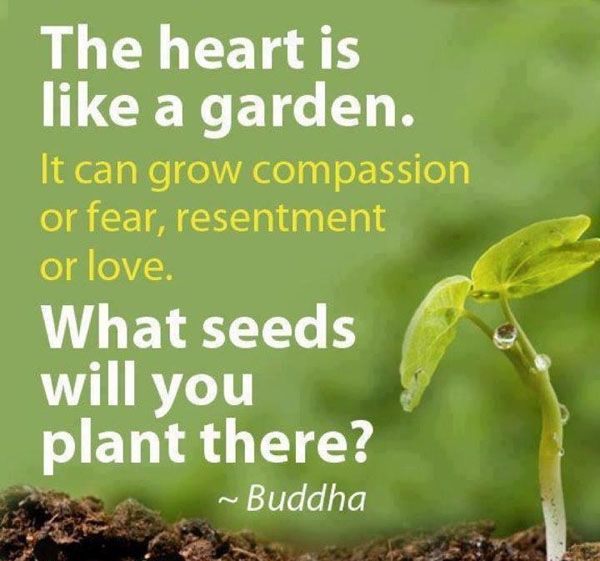 Quotes-About-Planting-Seeds-For-Life-02
