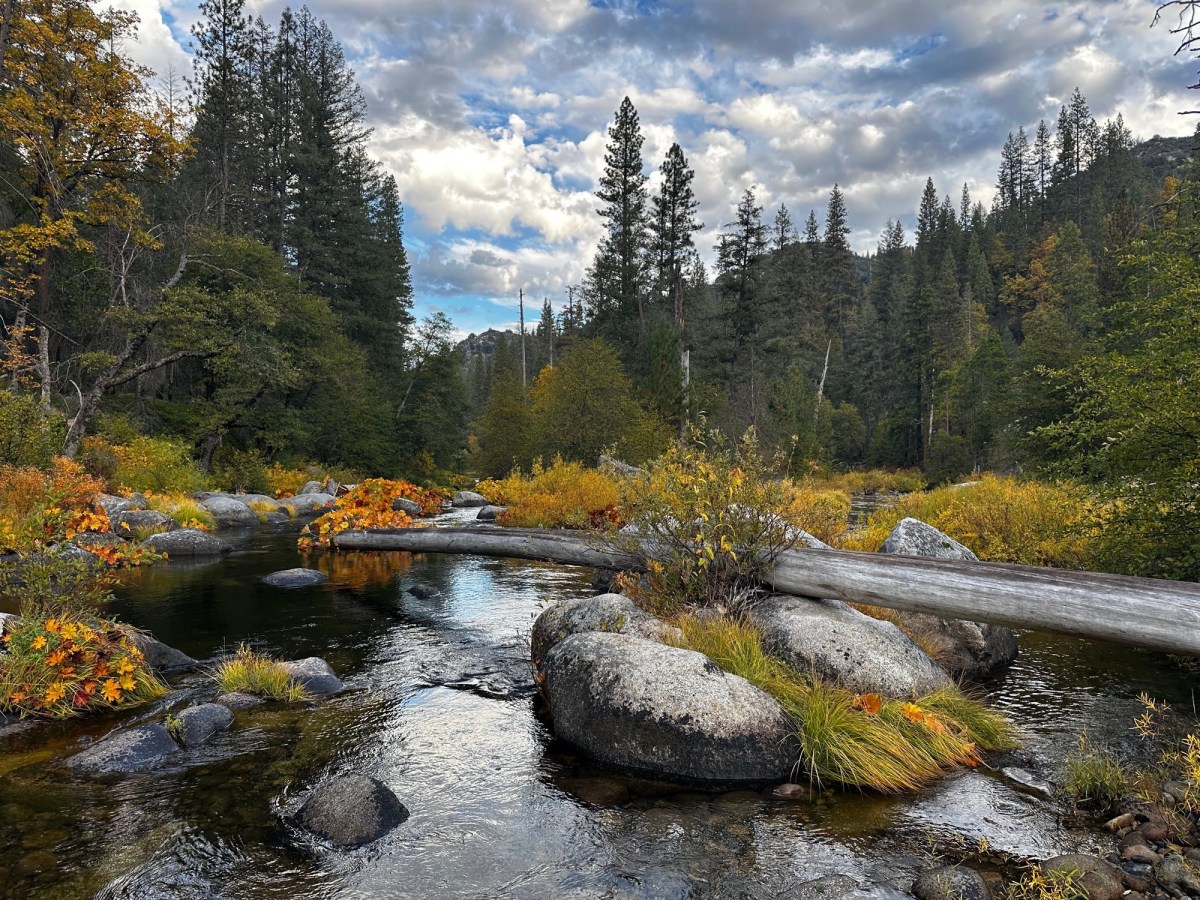 Can you believe water rights laws?