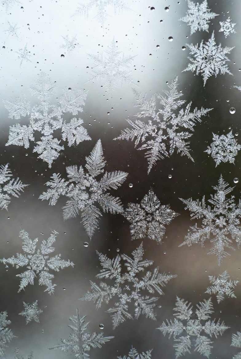 Thoughts can affect water